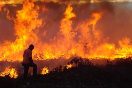 National Veld and Forest Act